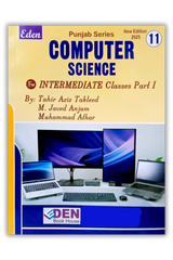 Punjab Series Computer Science 11